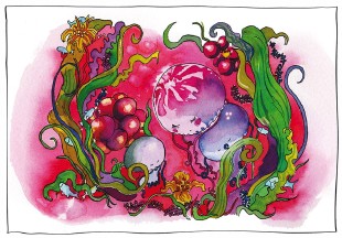 - Illustration pour Zuzu la Petite méduse, album jeunesse  - Illustration pour Zuzu la Petite méduse, album jeunesse